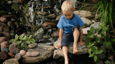 Pond