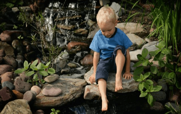 Pond
