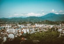 filmywap 2024 overview details