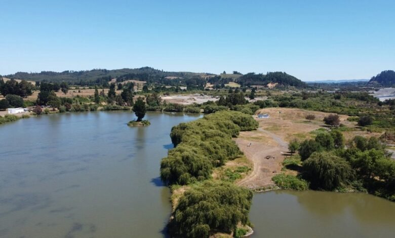 movie download site overview