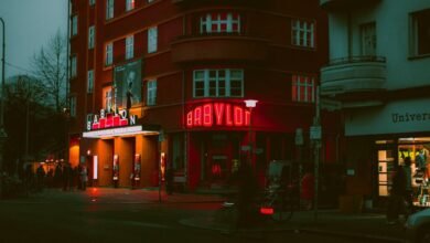 movie downloading platform explained