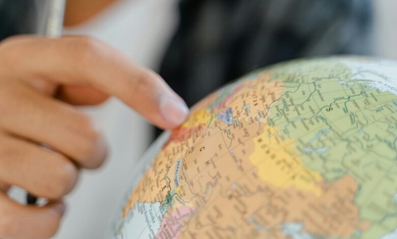 moviezwap org overview guide