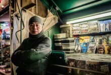 mp4moviez trading guide overview