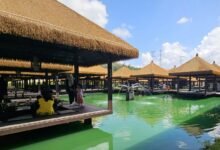 msrit parents portal overview