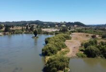 nado pronostic comprehensive analysis