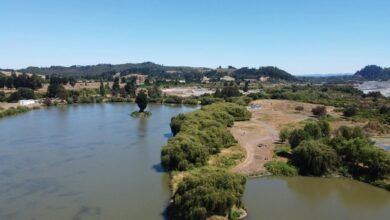 nhetai comprehensive summary provided