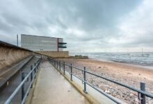 ofilmywap 2024 functionality explained