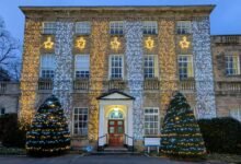 telugu movie streaming platform