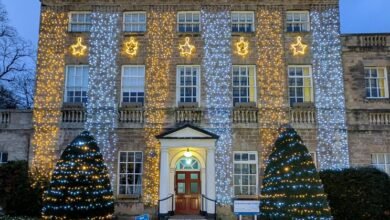 telugu movie streaming service