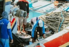 understanding odfl4us functionality