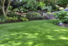 How to Reset Your Backyard After a Rainy Season