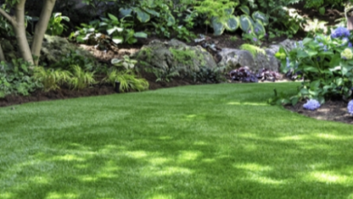 How to Reset Your Backyard After a Rainy Season