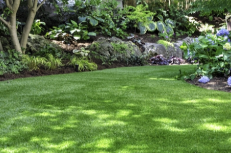 How to Reset Your Backyard After a Rainy Season