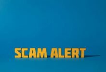fraud alert on 9016256075