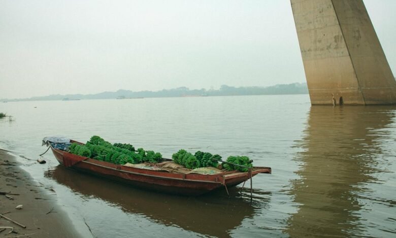 market growth strategy implementation