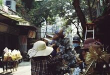 titan ladder market path